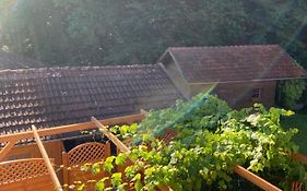 Pension Kleiner